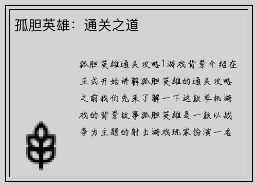 孤胆英雄：通关之道